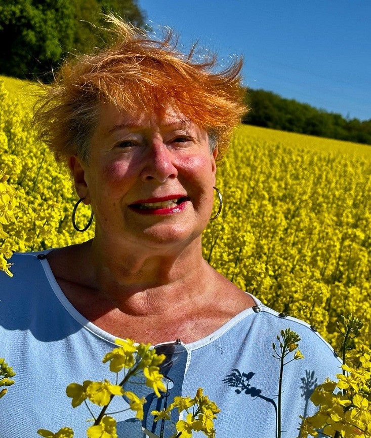 Bruchhausen Rapsfeld
